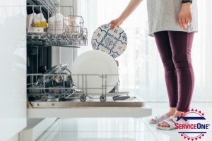 How to Extend the Life of Your Dishwasher: Maintenance Tips Every Homeowner Should Know