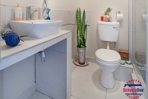 7 things you should never flush down a toilet