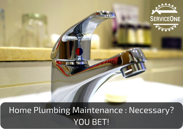 Home Plumbing Maintenance - Necessary? You Bet!