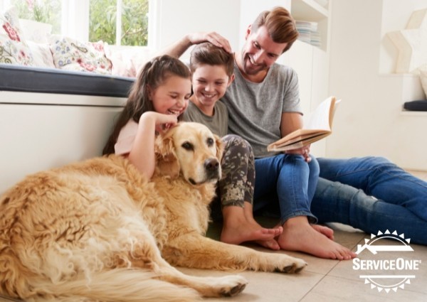 Reasons to Switch to a Geothermal Heating and Cooling System in Your Home