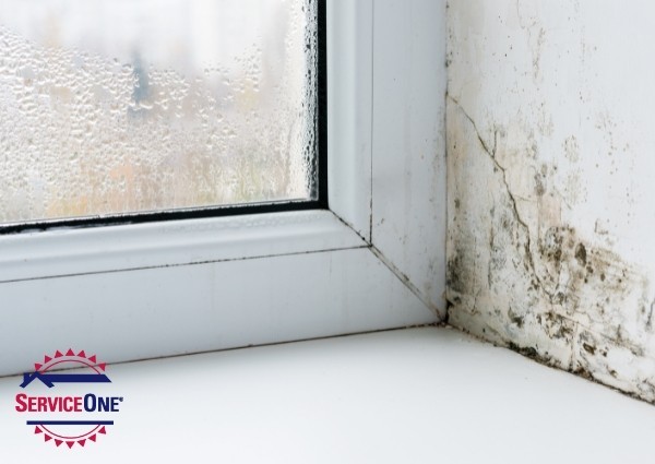 III. Health Risks Associated with Mold and Mildew