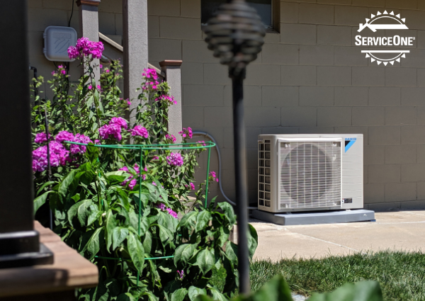 How ServiceOne Helped a Papillion Homeowner Reduce His Energy Costs by 22%