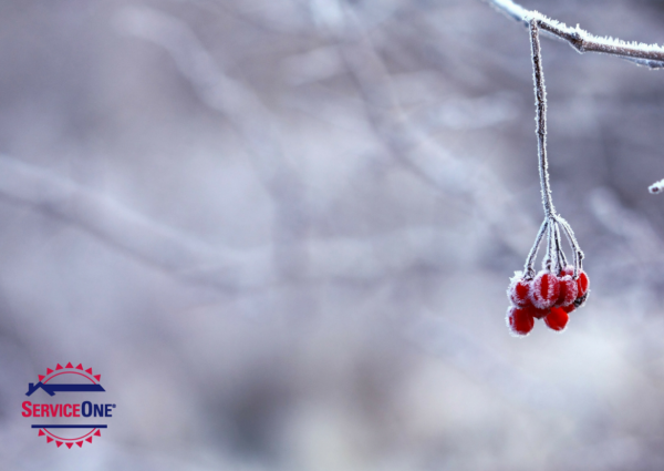 Preparing Your Furnace For Colder Weather