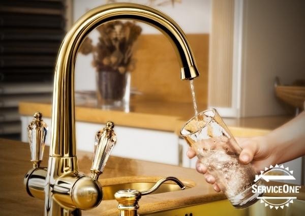 What’s The Right Water Treatment For You