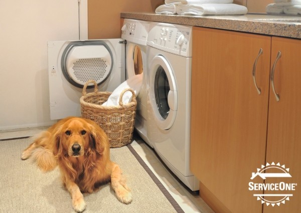 Common Laundry Room Appliance Problems