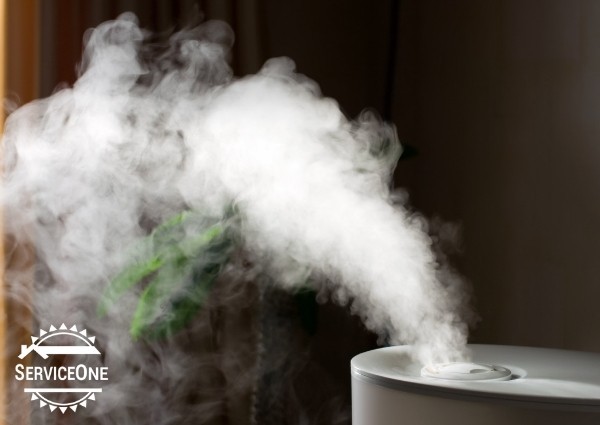 Home Humidifier Benefits