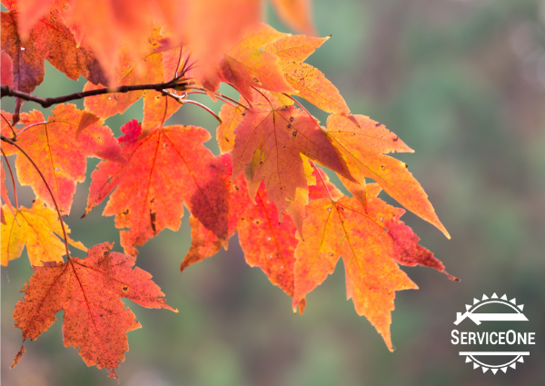 Update: Fall HVAC Maintenance Tips