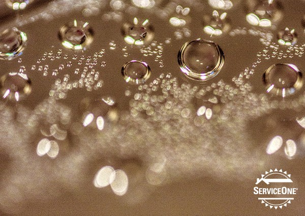 What temperature should your water heater be set at?