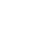 Service One Logo in white